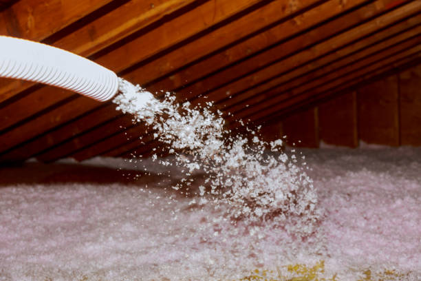 Best Affordable Insulation Services  in Ilion, NY