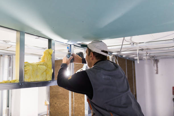 Insulation Replacement Services in Ilion, NY