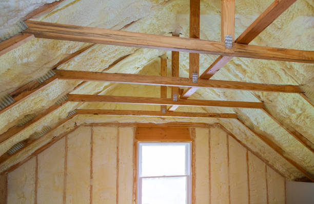 Best Attic Insulation Installation  in Ilion, NY