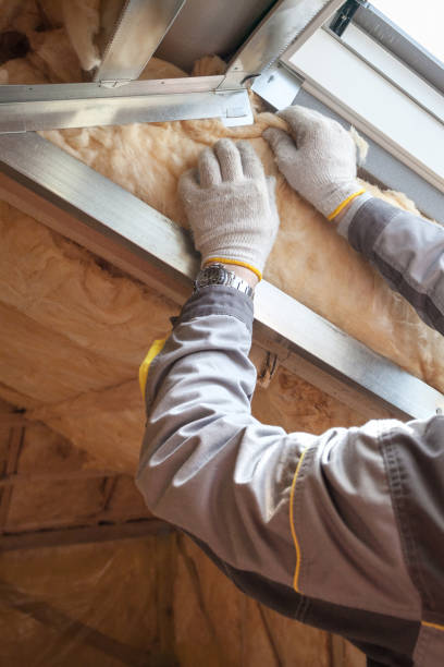 Best Residential Insulation Services  in Ilion, NY