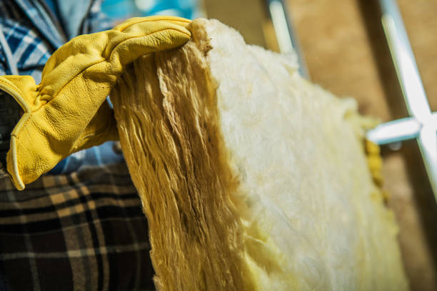 Best Local Insulation Services  in Ilion, NY