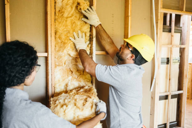 Best Blown-in Insulation  in Ilion, NY