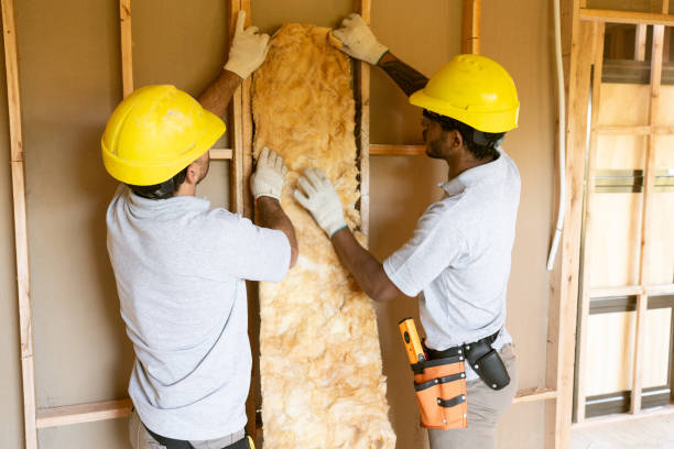 Best Attic Insulation Installation  in Ilion, NY