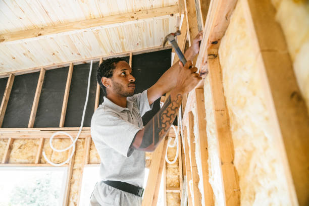 Best Spray Foam Insulation  in Ilion, NY