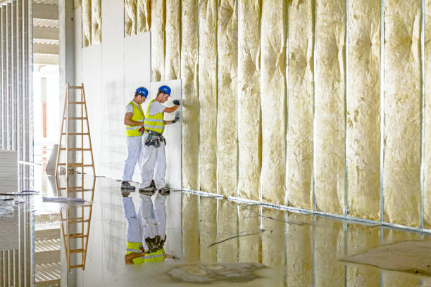 Best Insulation for New Construction  in Ilion, NY